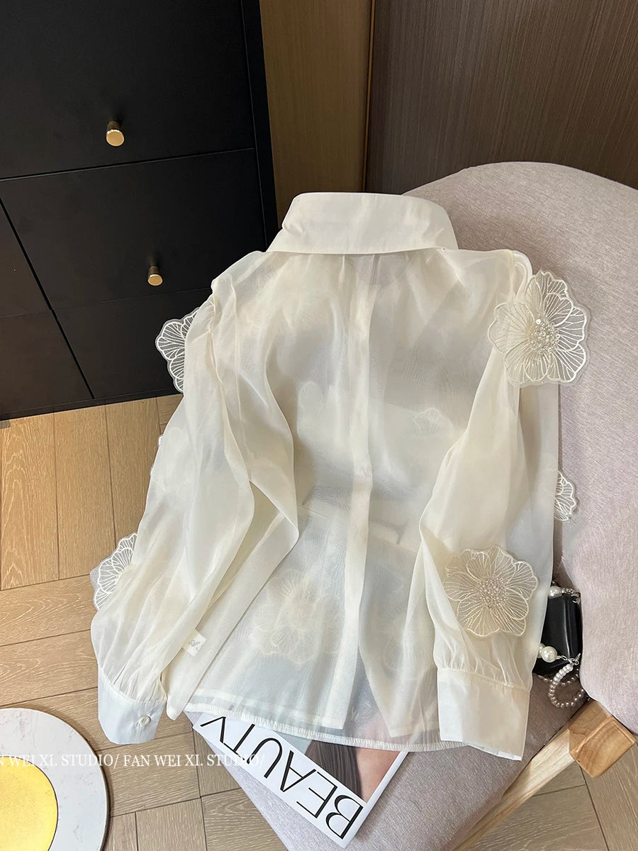 Long Sleeve Mesh Blouse