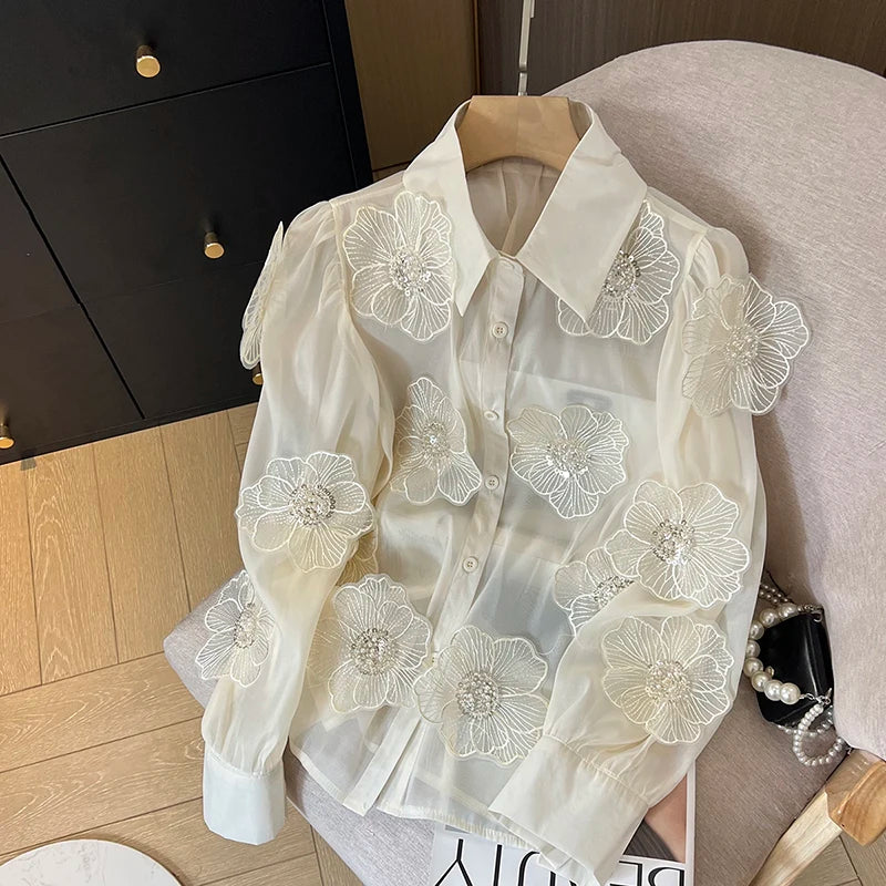 Long Sleeve Mesh Blouse