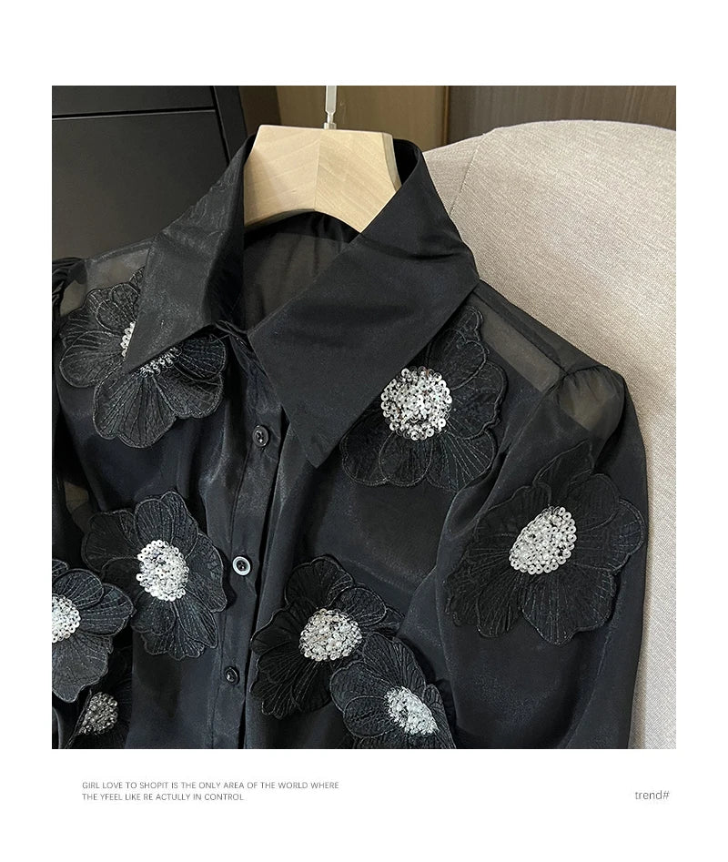 Long Sleeve Mesh Blouse